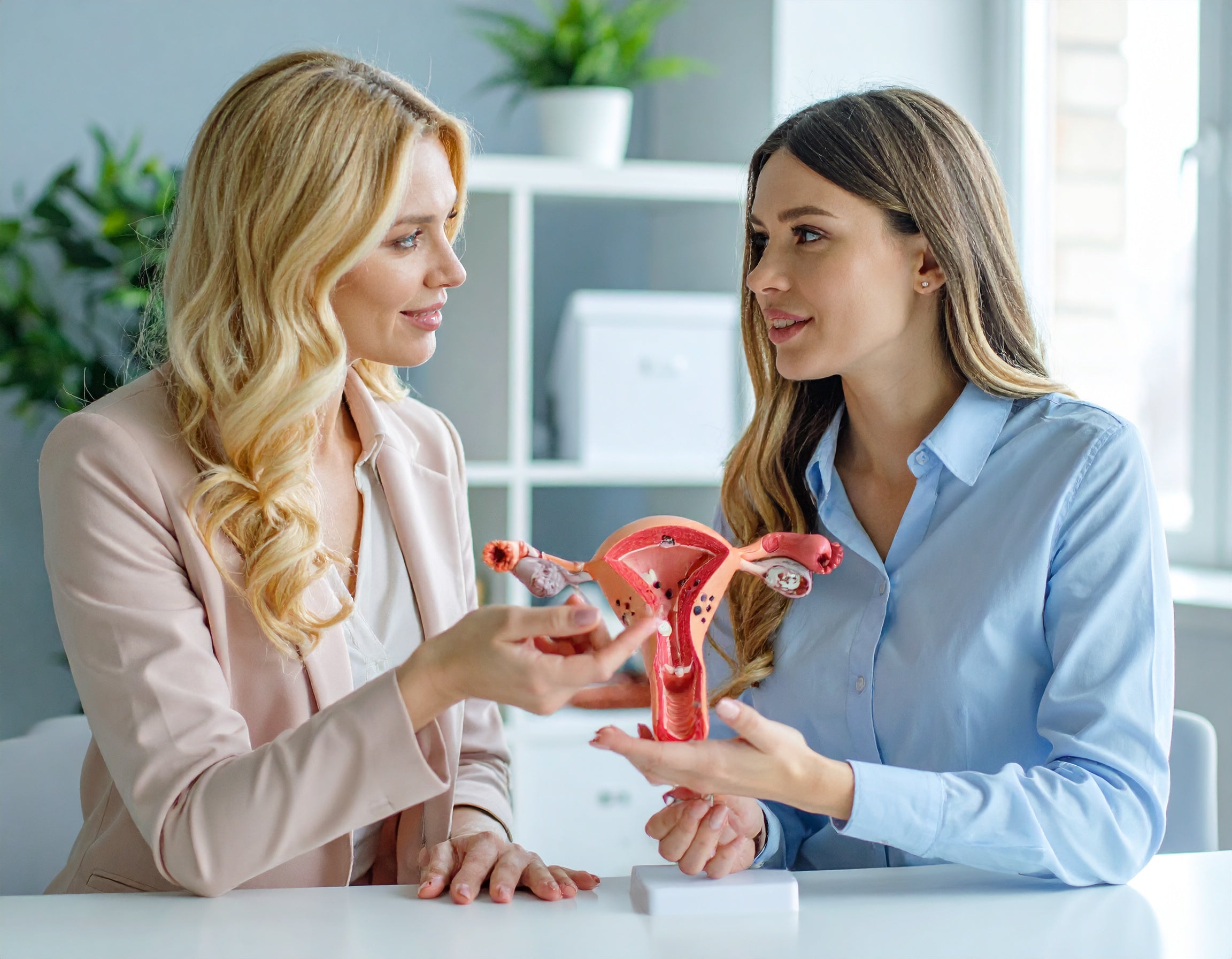 Individuelle Begleitung bei Endometriose & Adenomyose