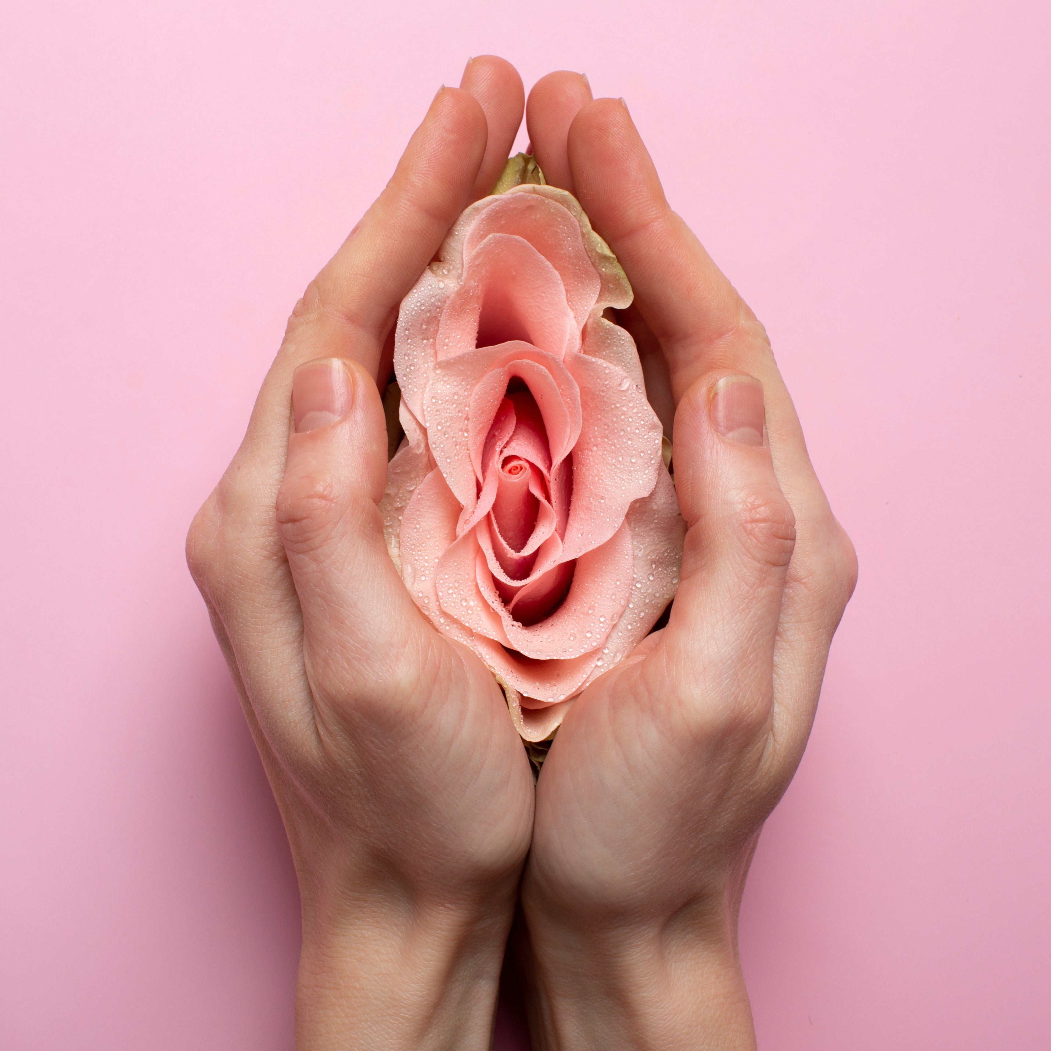 Individuelle Begleitung bei Endometriose & Adenomyose